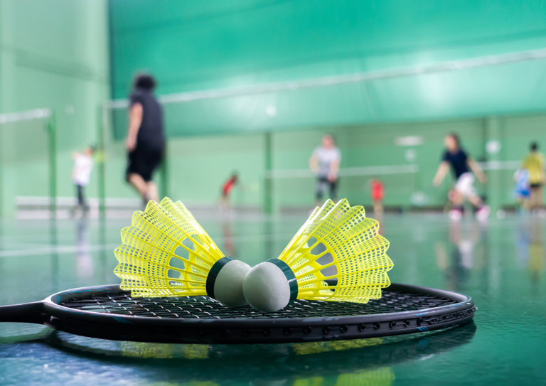 badminton-and-indoor-game_1